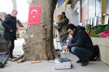 Anıt Ağaç Ölçüm Çalışmaları  (3).JPG